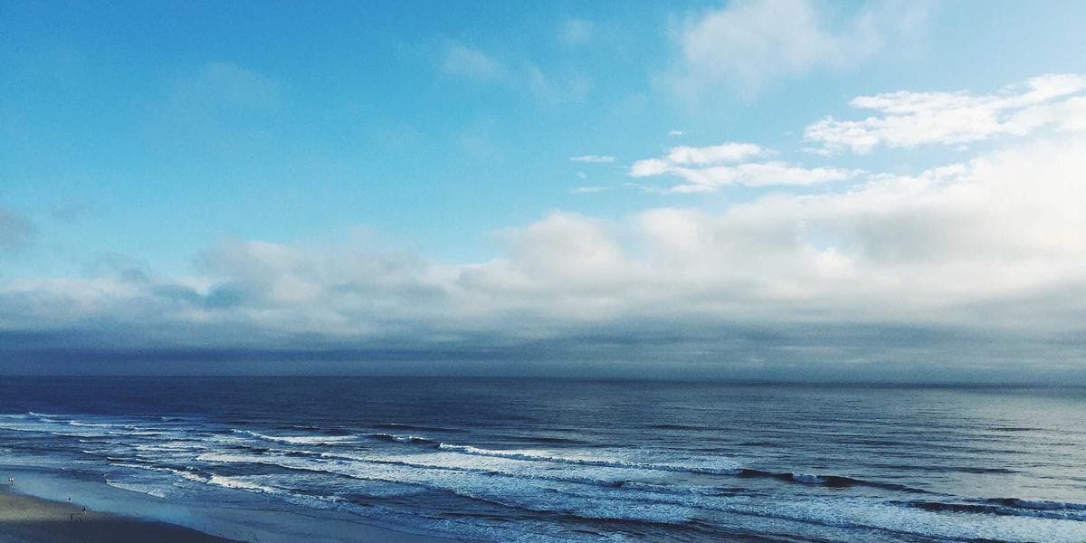 5 indicadores que todo dono de empresa B2B deve acompanhar